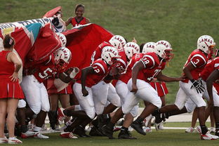 mk体育全站-体育新闻中心让赛事报道更有温度，体育新闻f1